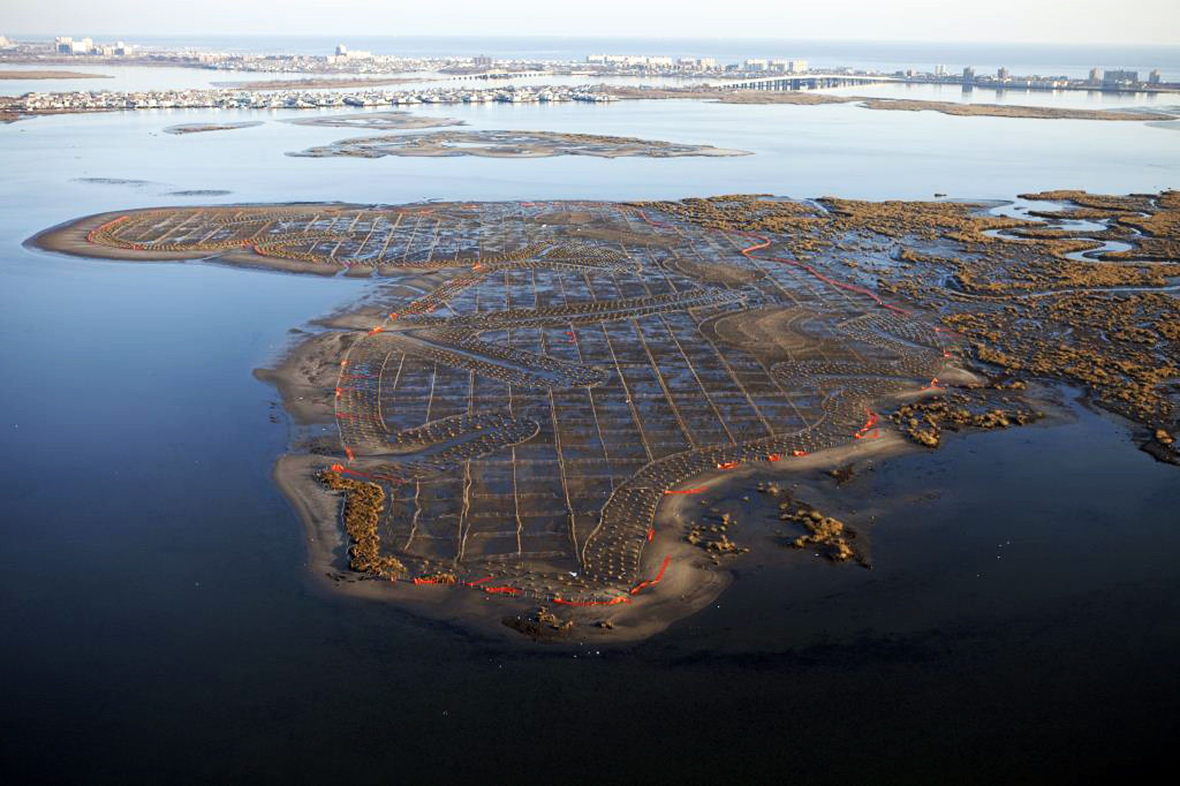 Aerial view of marshes and new plantings